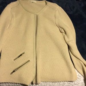 Great Cabi sweater